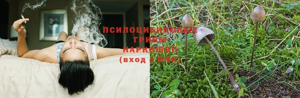 кокаин перу Алексин