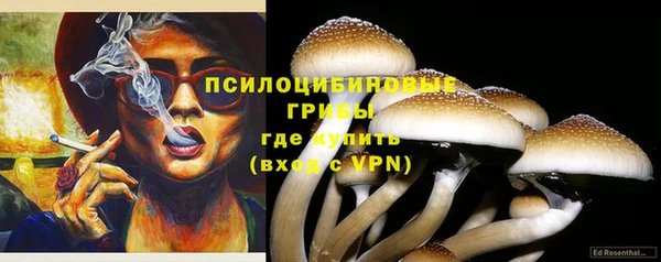 таблы Алзамай